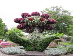 foto5