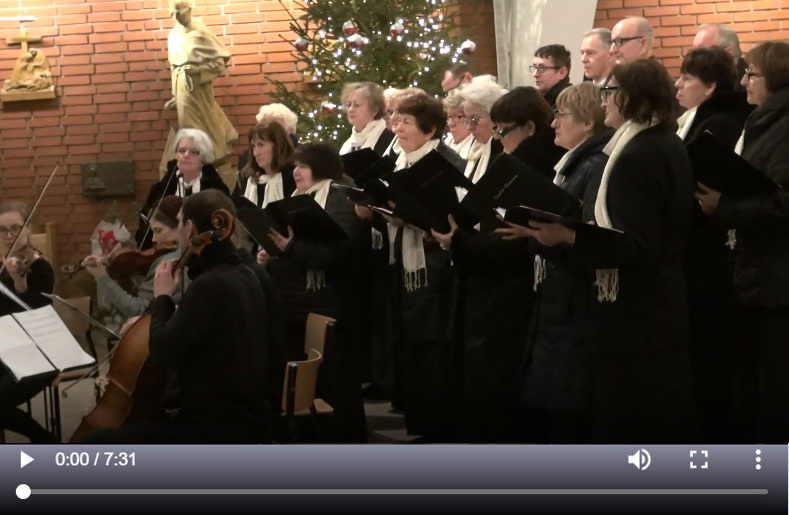 video image